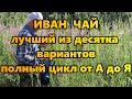 Иван чай. Лучший из десятка вариантов. Полный цикл от А до Я.