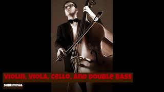 𝕾𝖙𝖗𝖎𝖓𝖌 𝕼𝖚𝖆𝖗𝖙𝖊𝖙 || Violin family subliminal