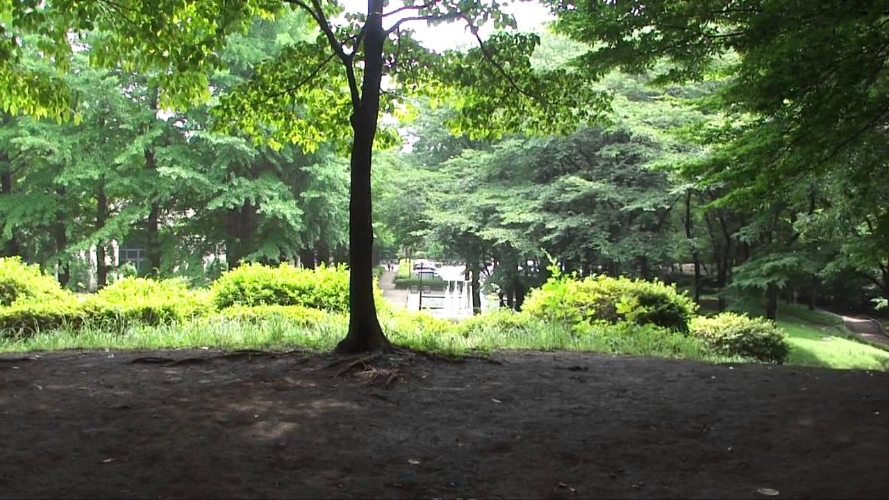 小平市立 中央公園 Youtube
