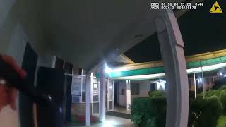 VIDEO | Alligator spotted outside motel room in Virginia