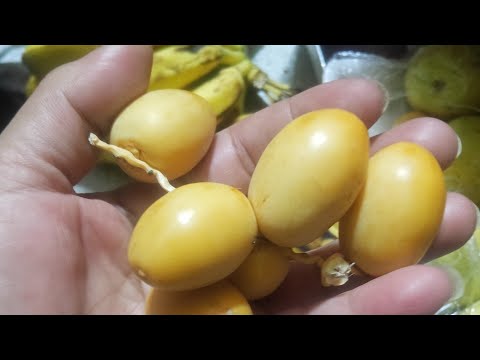 بدأت قناة حنان و الاكل البيتي بث ا مباشر ا مساء الفل والياسمين