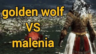 الدن رنق نو دمج ملينيا elden ring malenia no damage (Cosplay tt3bx)