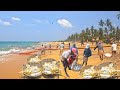 Wow most satisfying super fishing method  amazing beach seine net fishing for big permit fish