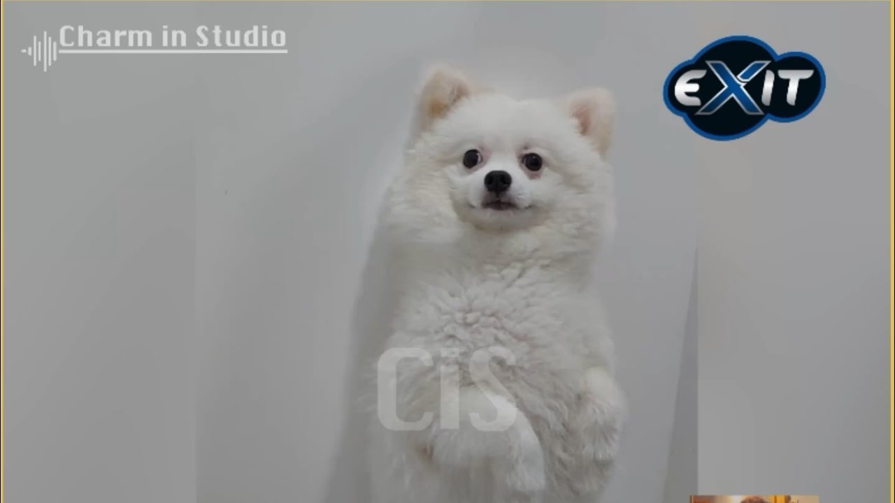 အဲ့တစ်ပေါက်တော့ရှိတယ်