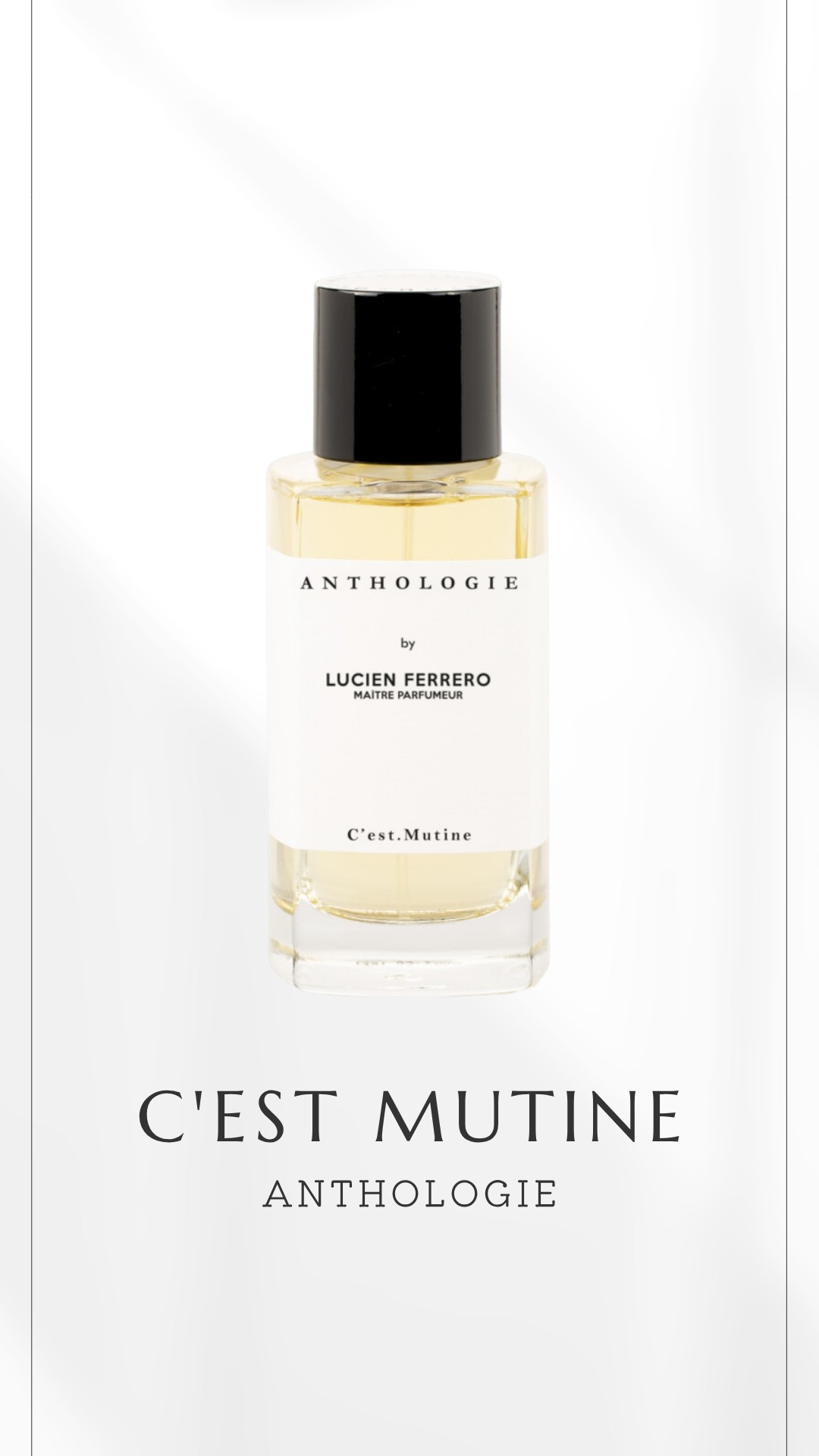 C'est Mutin (Anthology) #PerfumeRadio #Anthology #CesMutin