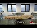 أخطر وثائقي المشرحة تحذير مشاهد حقيقية 18