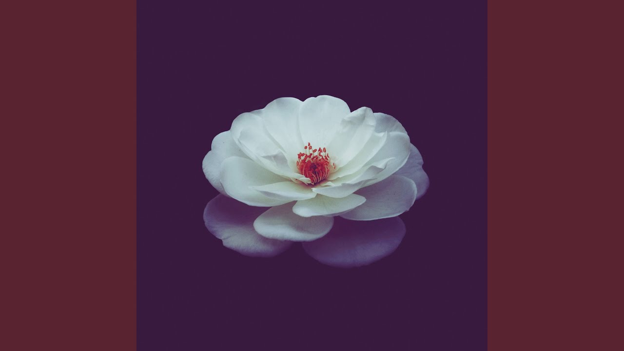 Watch Distant Longing on YouTube Watch Distant Longing on YouTube