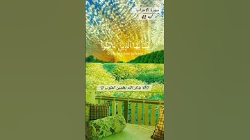 سورة الأحزاب : ياسر الدوسري #quran #القرآن_الكريم #allah #ياسر_الدوسري