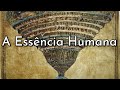 Os Arquétipos e o Inconsciente Coletivo | Aula 9