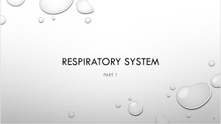 A&P 2 Respiratory System  Part 1
