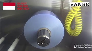 SKY Auto Servo Blister Machine SVB 300, SVB 400