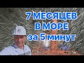 7 МЕСЯЦЕВ В МОРЕ за 5 минут