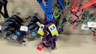 Petsmart Harness and Collar perfect for your dogs #Shorts #shortvideo