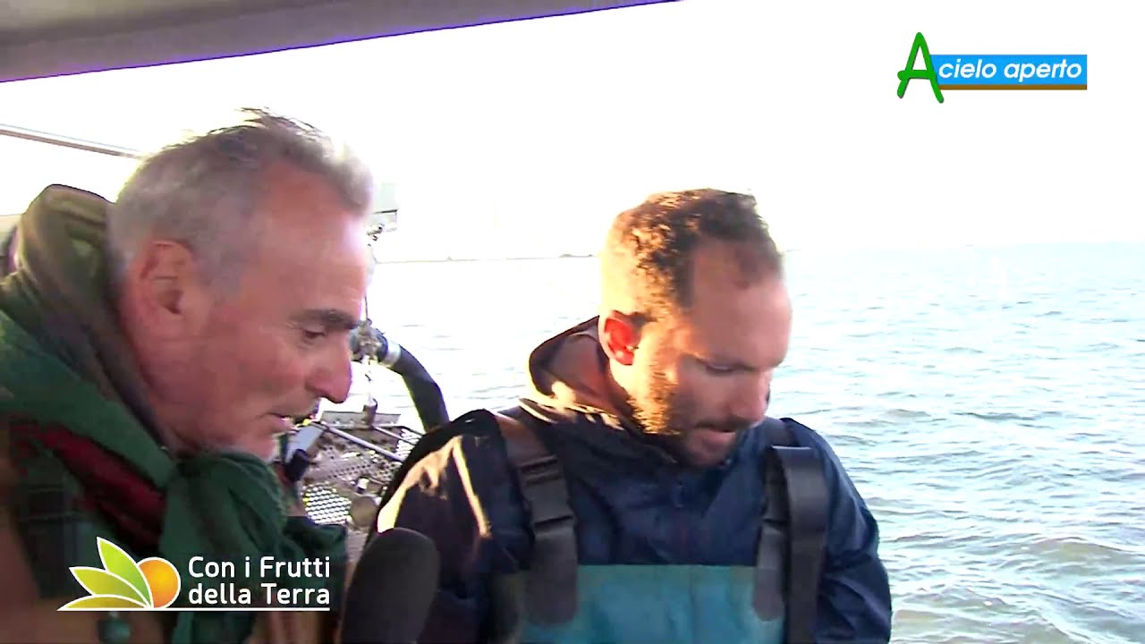 Puntata del 18/10/20 –  1° parte – A Goro con gli agricoltori del mare