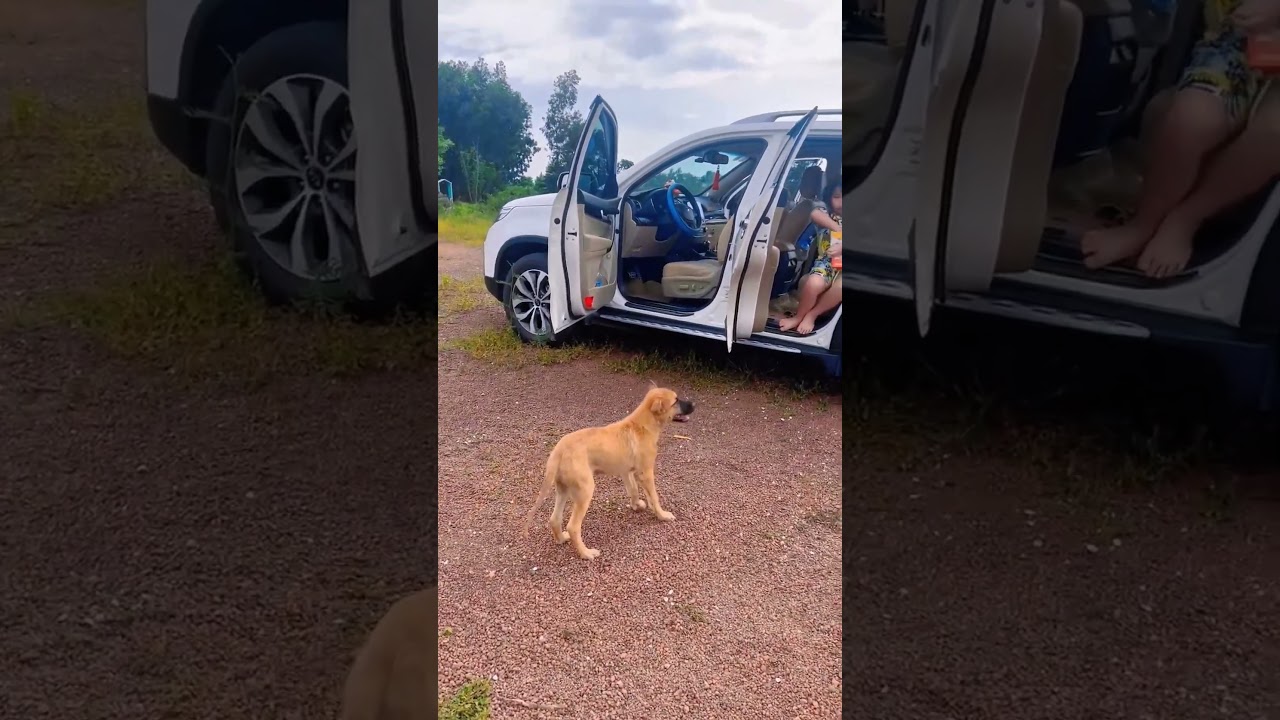 Camping Hồ Trị An mùa nước xuống T8.2025