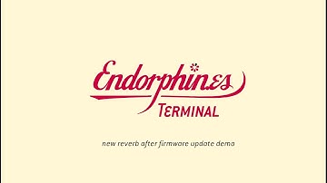 Endorphines - Terminal - new firmware with awesome reverb