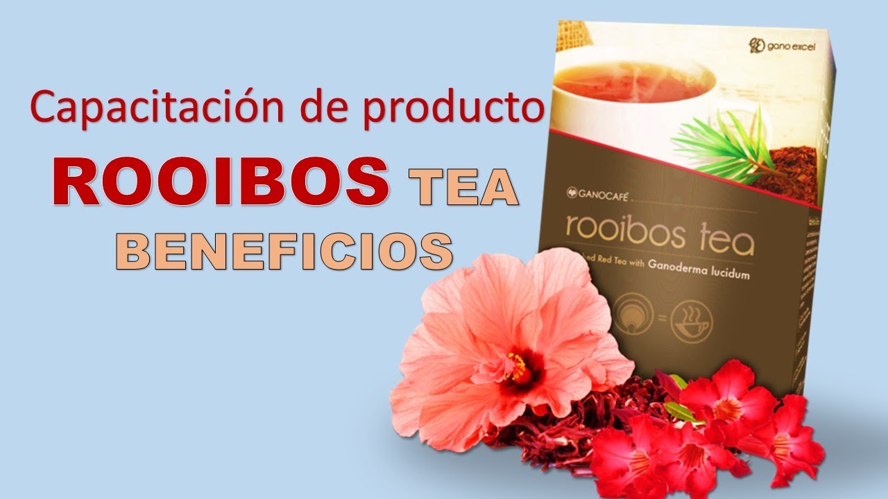 Se Puede Tomar TÉ ROOIBOS En El EMBARAZO? Beneficios Y, 42 OFF