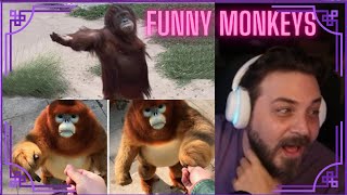 Elraenn Maymunlar - Funny Moments İzliyor