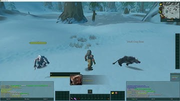 Turtle WoW on MacOS using VMware Fusion