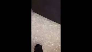 ice moment