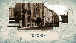 Моховая / «Малые родины большого Петербурга»