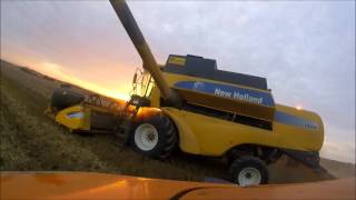 Moisson 2016 Hauts de France. [Drone/GoPro HD]