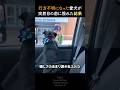 行方不明になった愛犬が突然目の前に現れた