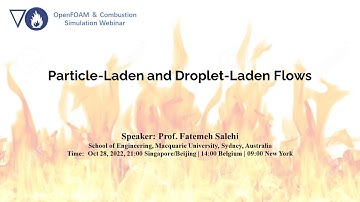 Particle-Laden and Droplet-Laden Flows