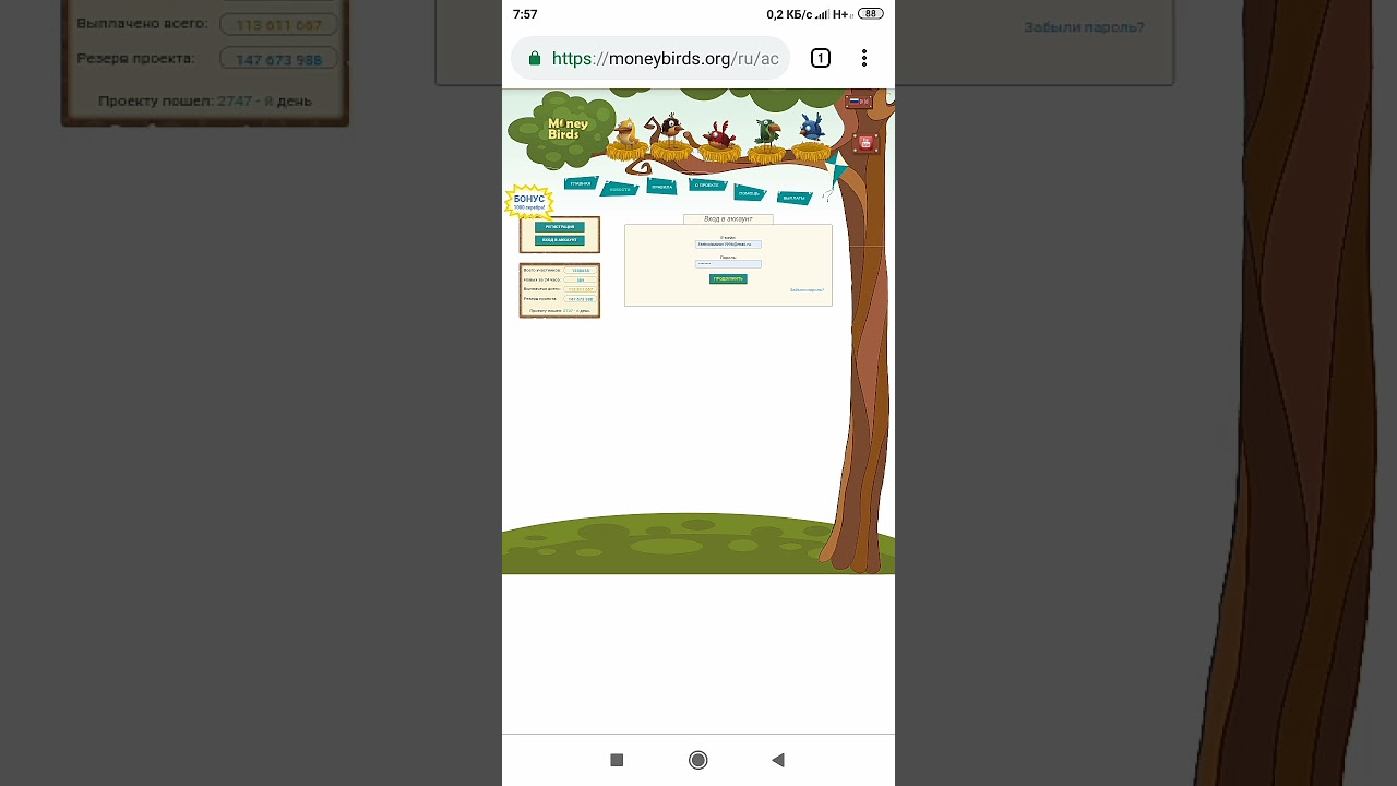 money birds | It's gona fake🤣🤣🤣