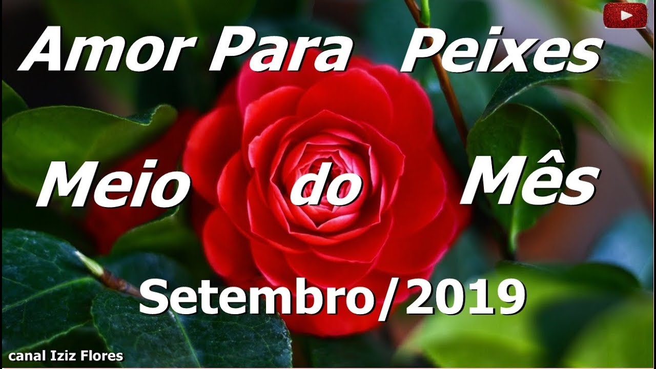 flor tarot pisces 2019