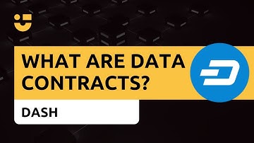 NiceTalk with DASH: Data Contracts