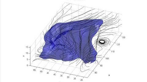 Flow Visualization with Level Set Method (Material Volume in a Steady Field)