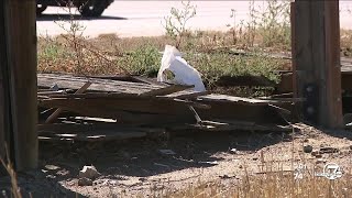 Famous Residents share concerns about proposed micro-community site in southwest Denver Profile