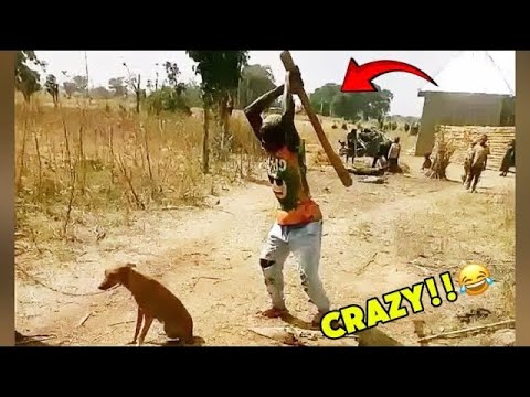 Pt 7 // Try Not To Laugh Challenge 😂| Funniest Moments 2026 // #funny #comedy #shorts 