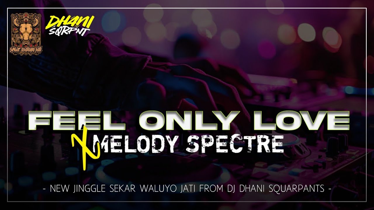 JINGGEL TERBARU | FEEL ONLY LOVE x MELODY SPECTRE | SEKAR WALUYO JATI | BY DJ DHANI SQUARPANTS