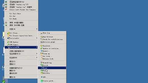 SVN & Git 版本控制-5.SVN高级