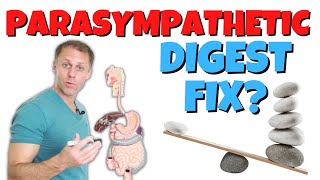 Correct A Parasympathetic Imbalance To Improve Digestion