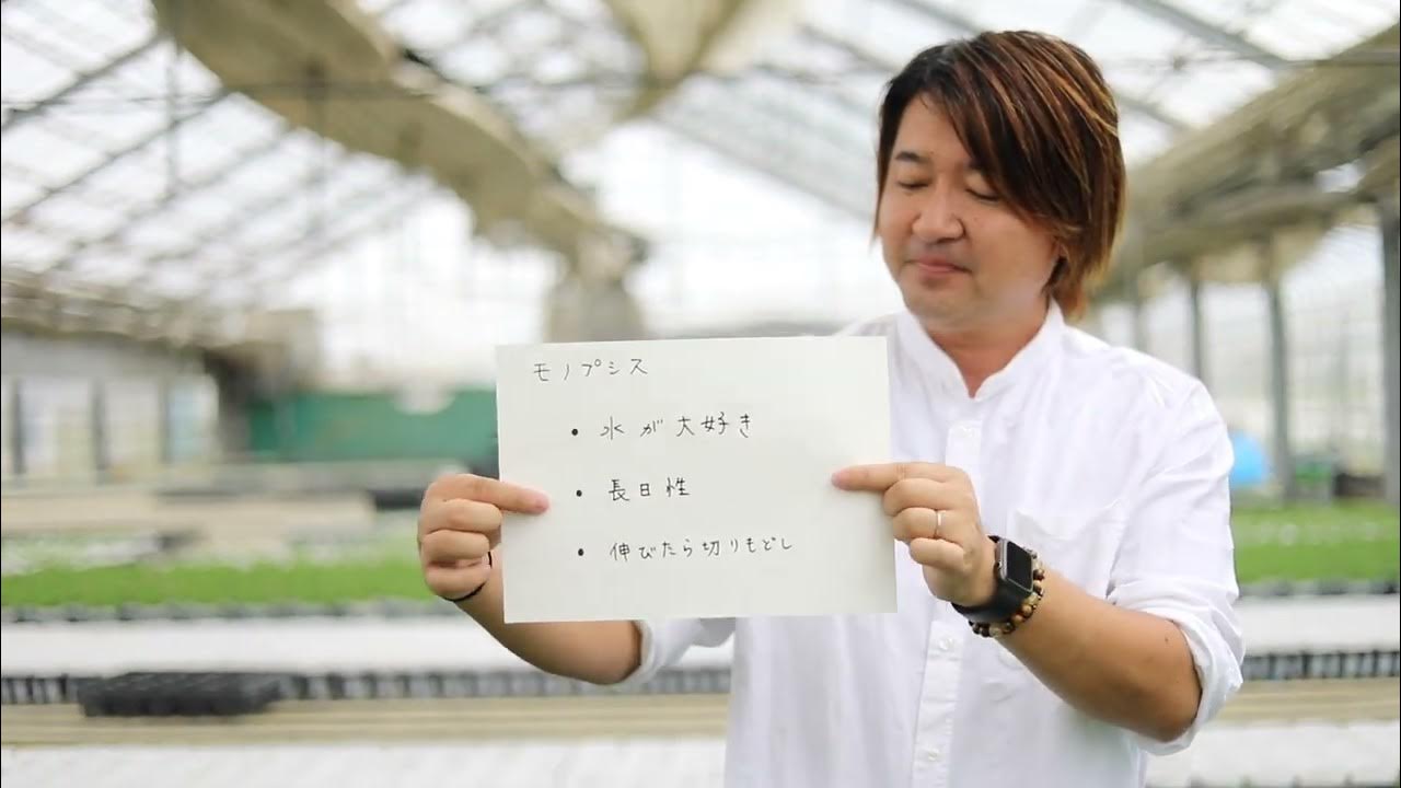 モノプシスの育て方 YouTube