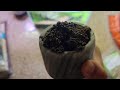 Substrate tutorial terrariums plants hobby houseplants diy nature