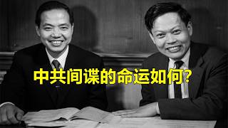 1530: What is the ultimate fate of CCP spies