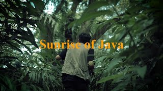 Tvc Perhutani 2022 Ii Sunrise Of Java