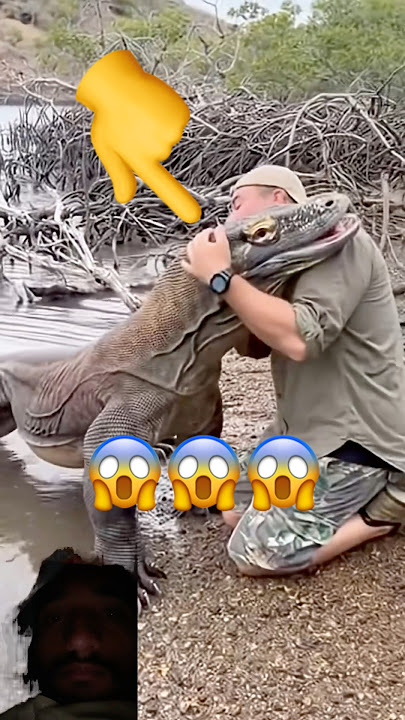 #wildlife #animals #viralvideo #lifeisbutadream #haveitoldyoulatelythatiloveyou #wildanimalsounds 🤪