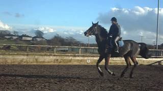 Jumping Mell 1meter