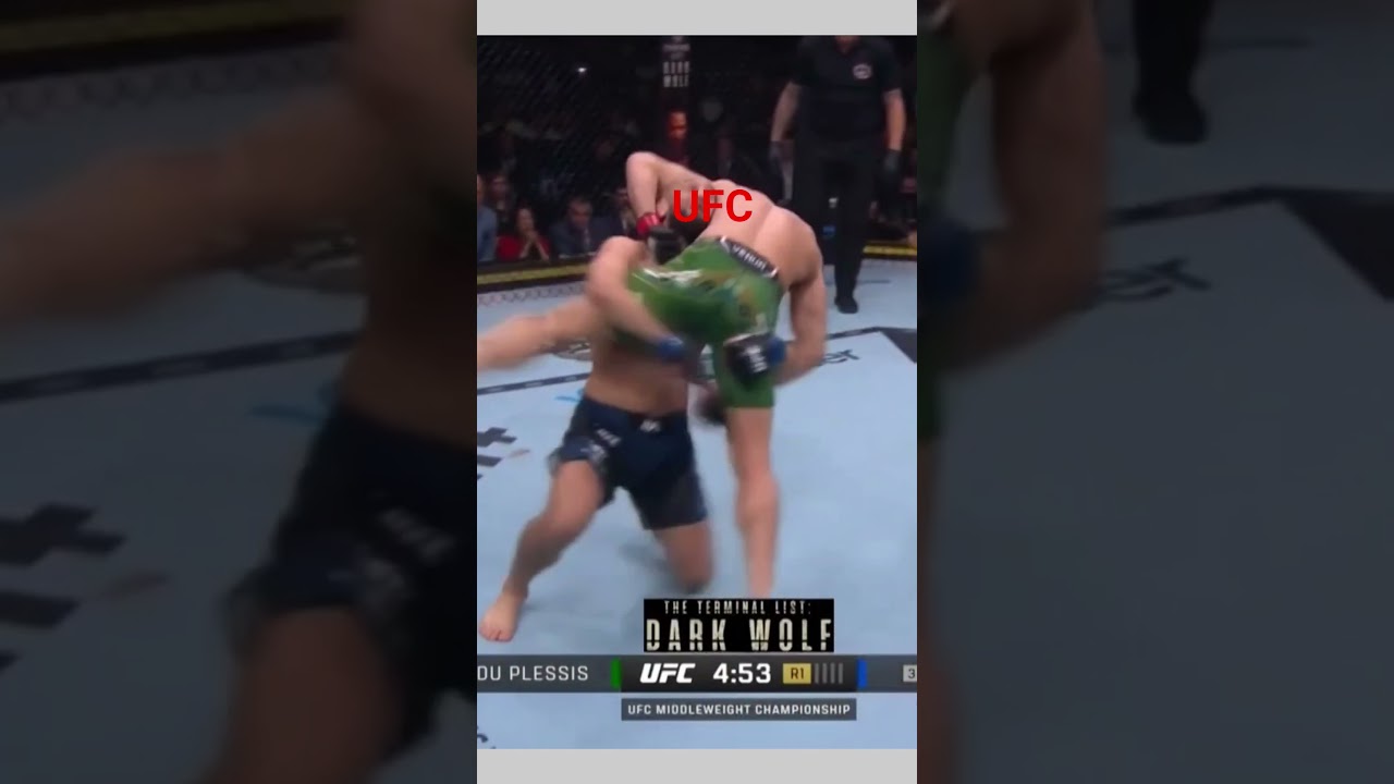 UFC Cat Fight! 😹🐾 Two Cats Wrestling Like MMA Champions 