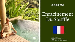 Enracinement Du Souffle 2 - Damo Mitchell - 🇫🇷