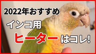 インコ用ヒーターおすすめ5選！火事や火傷を防ぐ正しい使用方法も紹介！