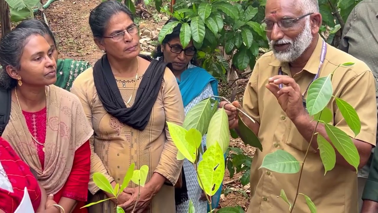 Budding Grafting and Layering skills learning #farming #farminglife കൃഷിഅറിവുകൾ