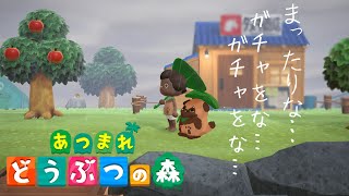 【どうぶつの森】住人ガチャ配信#6【#畑荒しの時間】