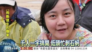 千人剝蚵體驗活動 古寧頭登場