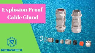 Explosion Proof Cable Gland Connector with Flameproof Function for Hazardous Area(2024 Guide)